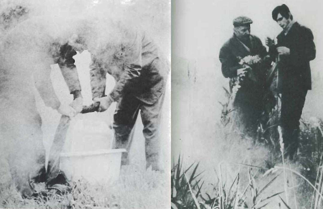 Armand Barbault and his son Andre gathering dew and plants.