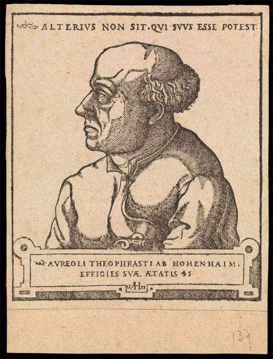 Aureolus Theophrastus Bombastus von Hohenheim [Paracelsus]. Woodcut by A. Hirschvogel, 1538