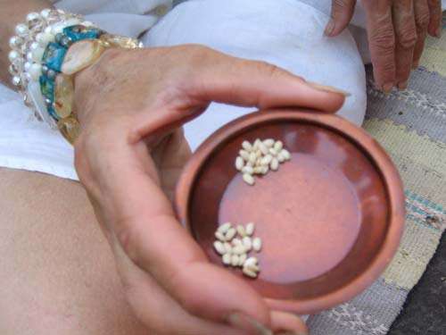 agnihotra offering dish