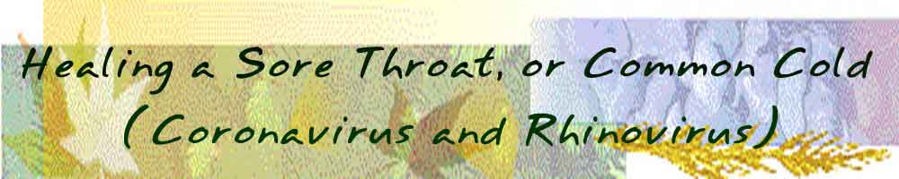 Healing a Sore Throat, or Common Cold (Coronavirus and Rhinovirus)