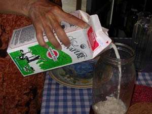 adding milk to the kefir culture