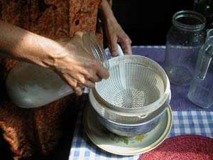 pouring out the kefir