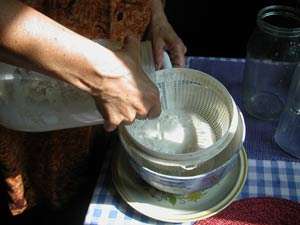 pouring the kefir in the strainer