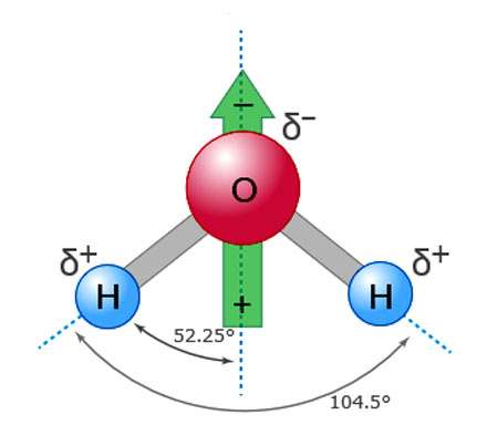 the green arrow shows the polarization of the charge