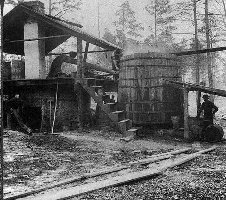Distilling turpentine from the crude resin in the pine forests of North Carolina 1903