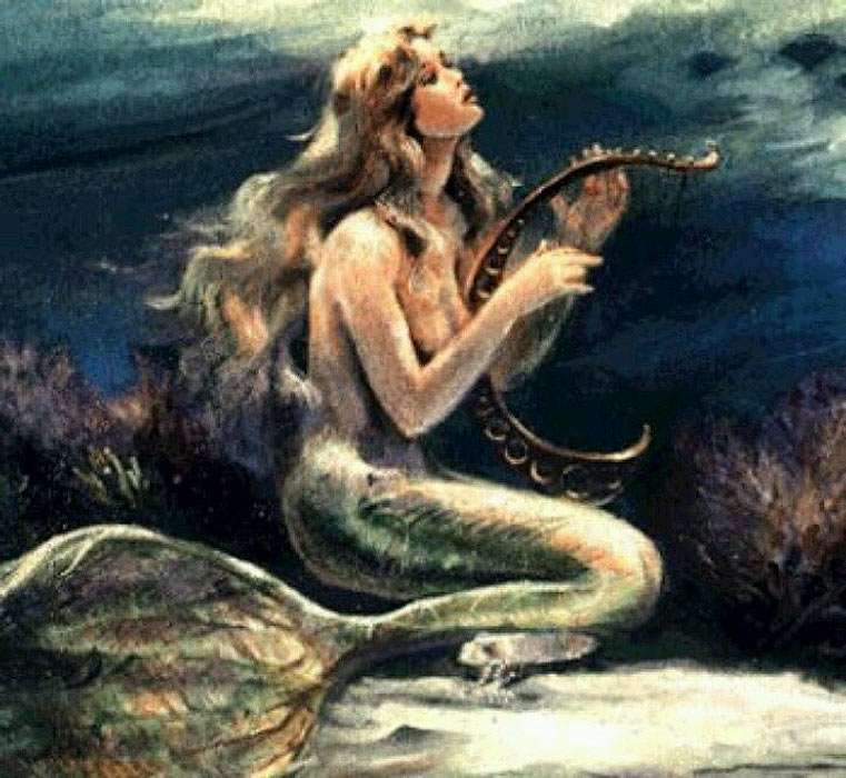 mermaid with harp