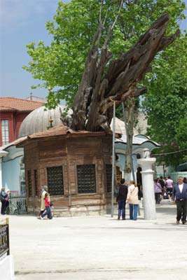 Sunbul Sinan Yusuf in Istanbul.