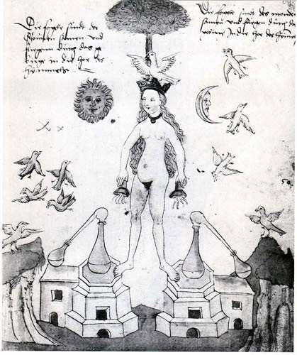 The white dove as symbol for the Whiteness or Albedo