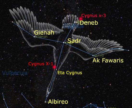 constellation of Cygnus. the Swan