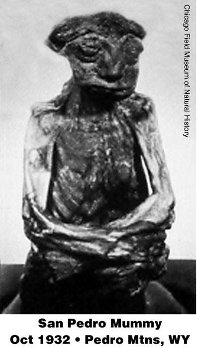 pedro mummy