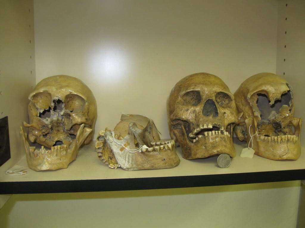 The Lovelock giant skulls