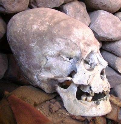 Cusco skull