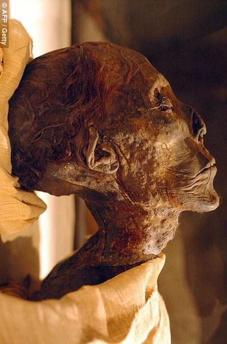 Hatshepsut mummy