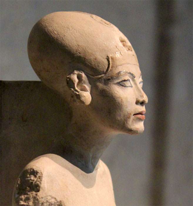 elongated head of Nefertiti