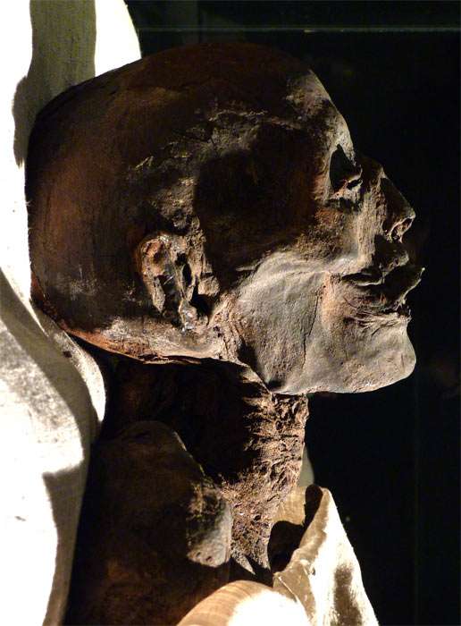 Ramses I mummy head