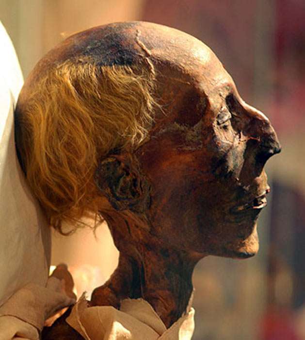Ramses II: long head and red hair