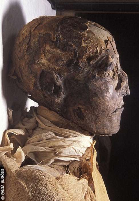Mummy head of Ramses III