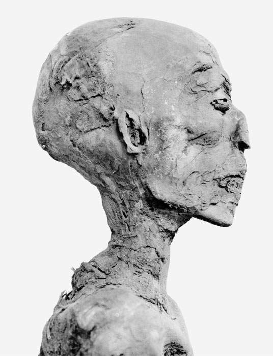 Ramses iv mummy head