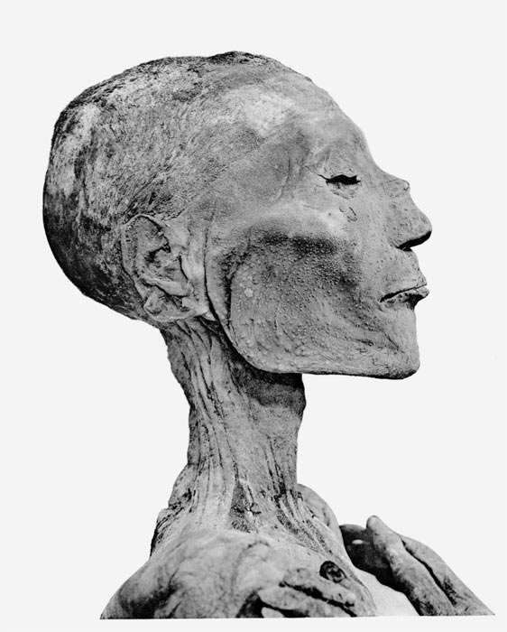 Mummy head of Ramses V