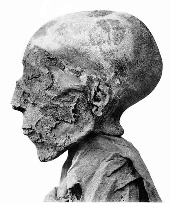 mummy of Seti II