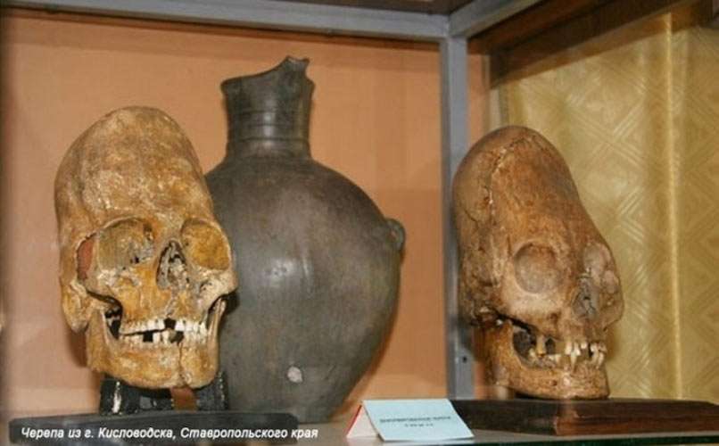 elongated skulls from Stavropol