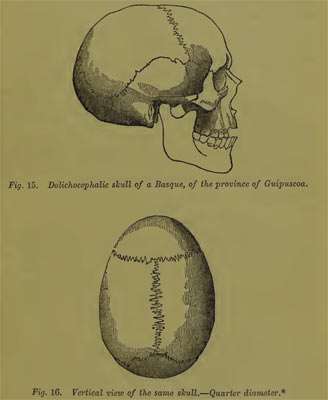 Basque skulls