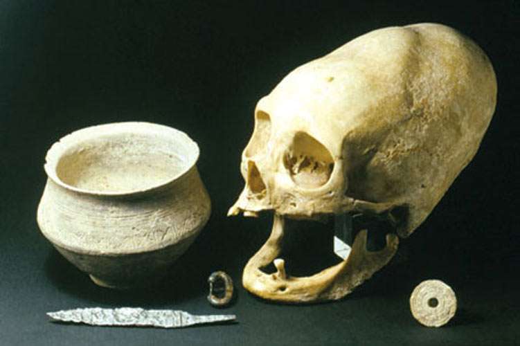 Dossenheim elongated skull