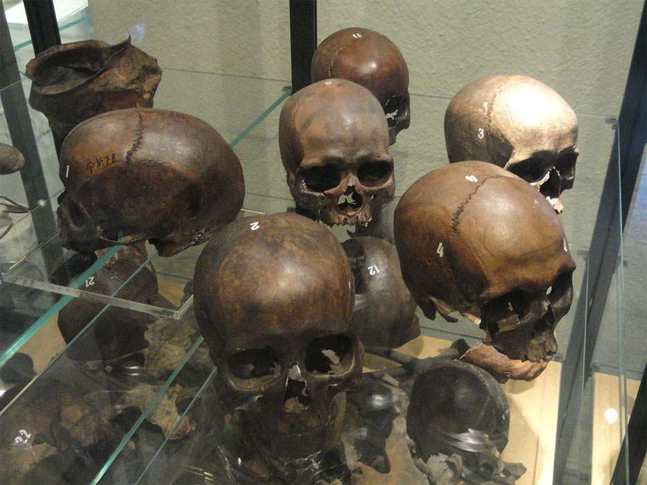 elongated skulls from Finland