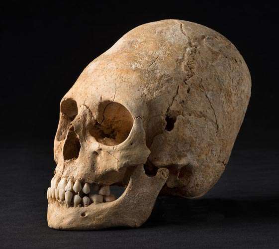skull from Pays de sainte odile
