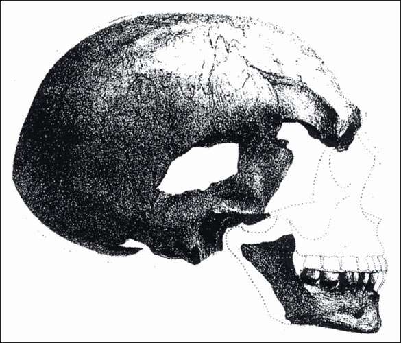 Galley Hill skull