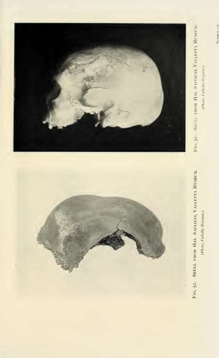 Two malta skulls