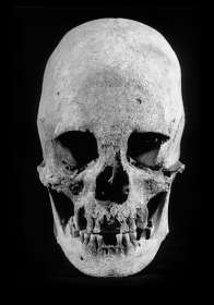 Pontoise skull