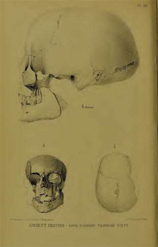 Tilshead long barrow, centrally placed woman