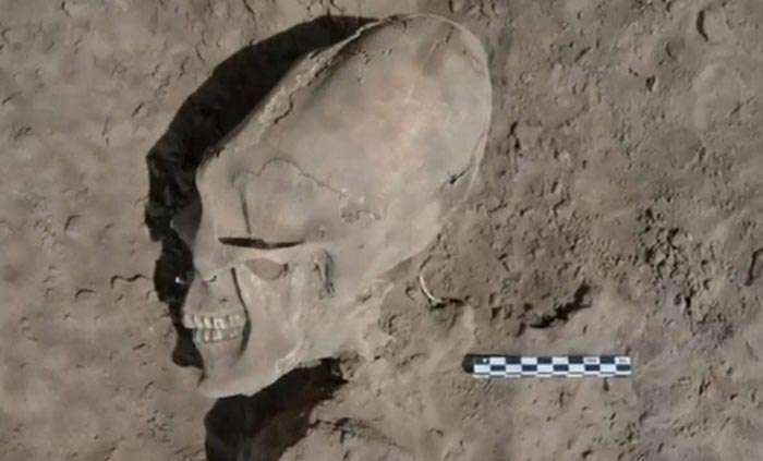 Onovas skull 