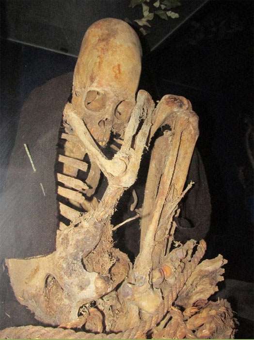skeleton with elongated head in Patapatani museum
