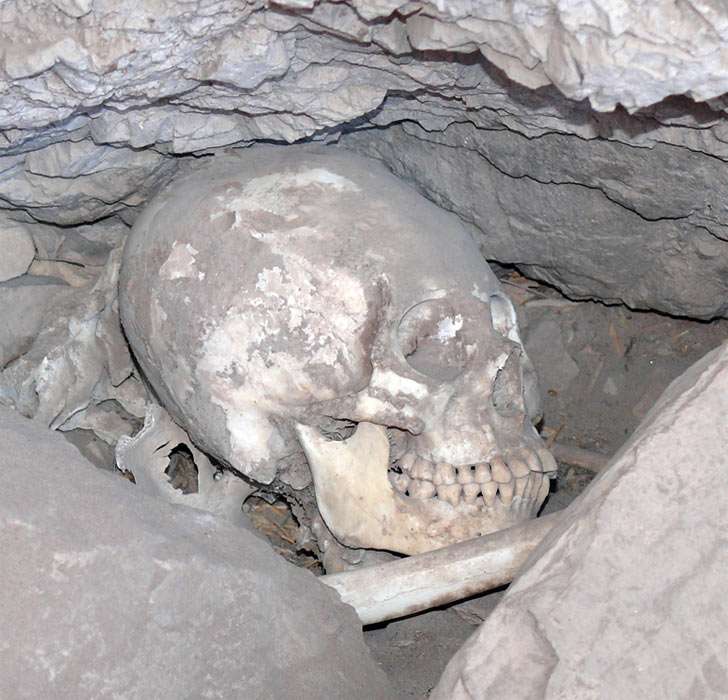 Tiwanaku elongated skull