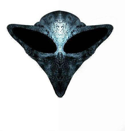 Figure 13. The face of the Mantis Alien that Jim witnessed on August 22, 2004 had the texture of �white chalky stone�. 