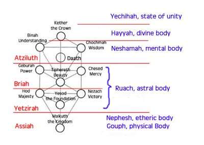 The Bodies and the Tree of Life: