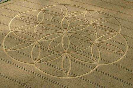 Flower of life crop circle