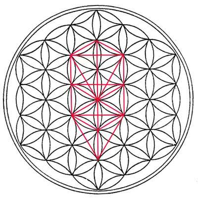 tree of life inside flower of life