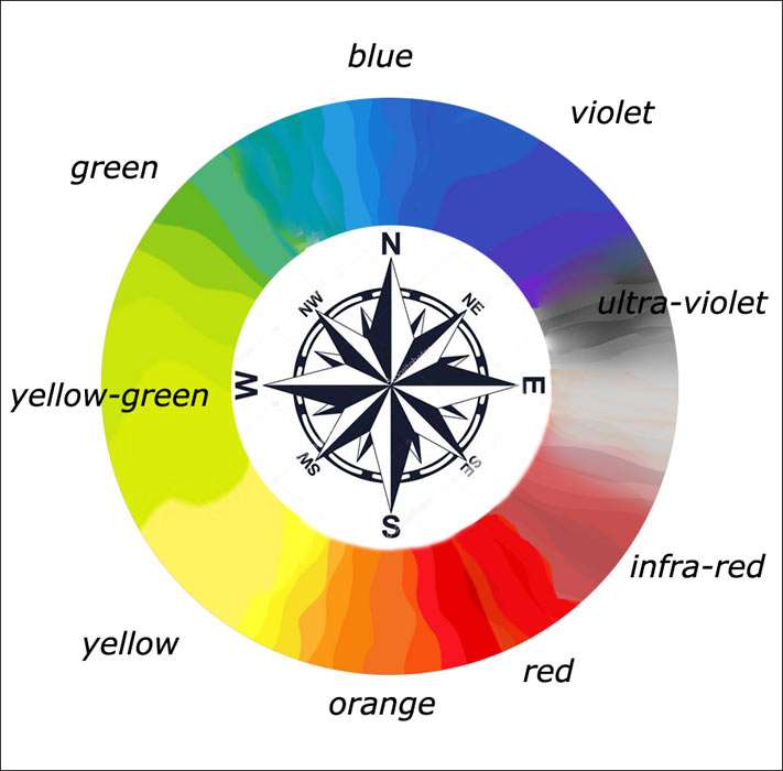 color wheel