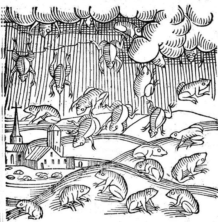 Rain of frogs recorded in 1355 (1557) From Prodigiorum ac ostentorum chronicon by Conrad Lycosthenes. (Basel, 1557).