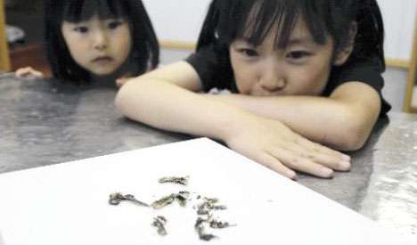 Tadpole rain in Japan -- 