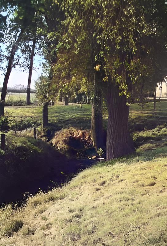 brook at the bottom of the meadow