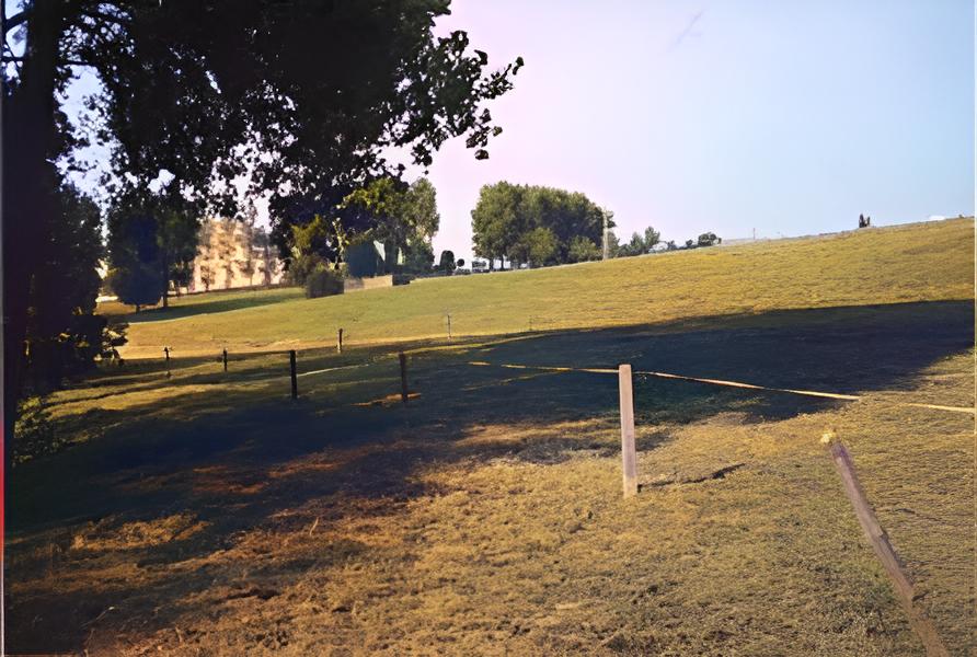 meadow