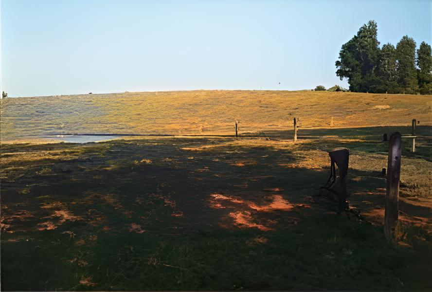 energy spot in meadow