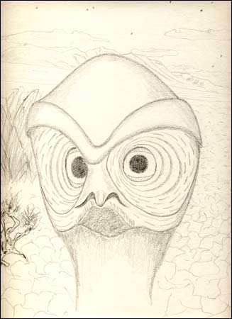 Weirdie 1